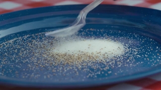 S04E20-More Scientists