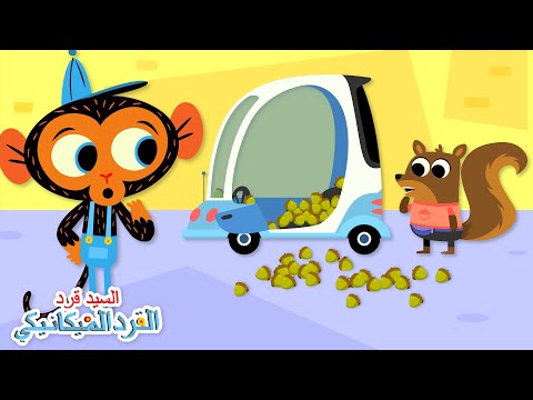 مشكلة الآنسة سنجاب السيد قرد