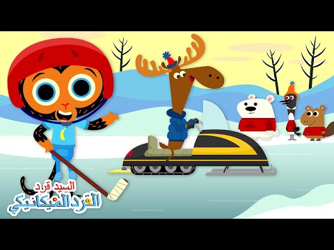 المدرب أيل وفريق الهوكي