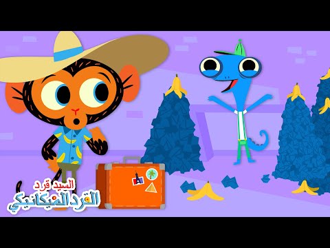 عبقرية السيد حرباء