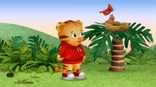 S02E09-Daniel Explores Nature - Daniel's Nature Walk