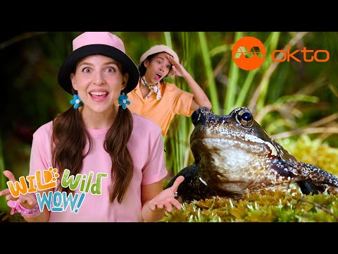 S1E01A-Learn about your FAVOURITE ANIMALS on this brand NEW SHOW