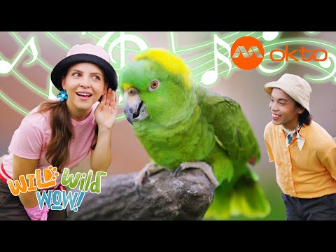 S1E03A-Can you IMAGINE this BEAUTIFUL ANIMAL without colour