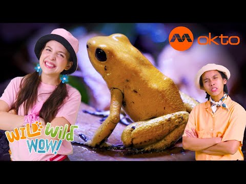 S1E03B-These animals may look PRETTY, but they are very DANGEROUS