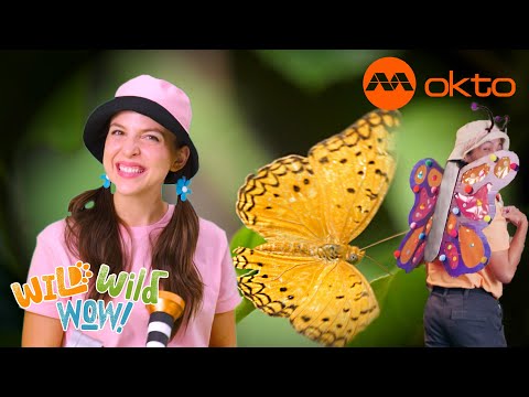 S1E03C-What is BORN as one animal but TURNS into ANOTHER after