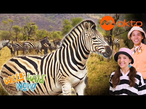 S1E04A-Can you GUESS what ANIMAL Allie's team is named after