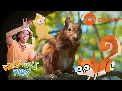 S1E05C-Did you know This ANIMAL hides FOOD in its CHEEK