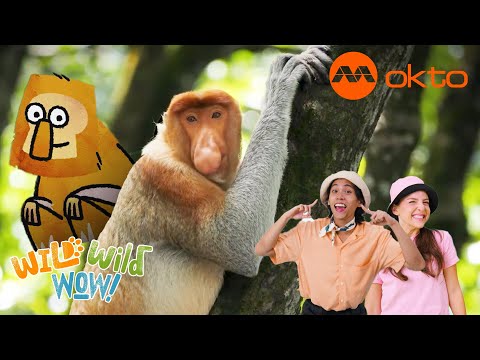 S1E06C-Exploring ANIMAL KINGDOM