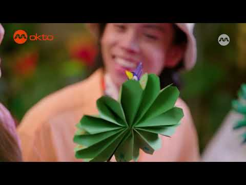 S1E07B-Discover COLOURFUL PEACOCKS in NATURE