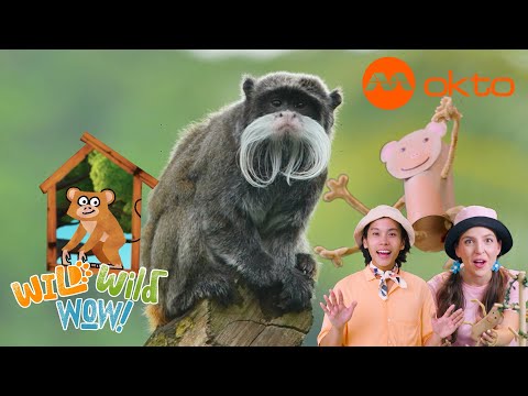 S1E07C-Exploring WILD ANIMAL KINGDOM ADVENTURES