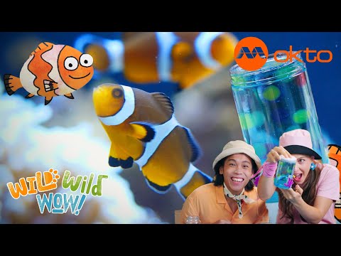 S1E08A-ALLIE ALFIE’S WILD OCEAN ADVENTURE