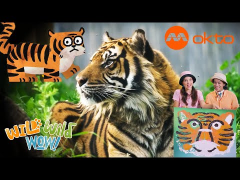 S1E09B-TIGER Adventure ANIMAL KINGDOM Fun