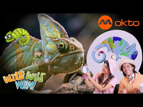 S1E10B-COLOUR CHANGING Chameleon FUN Adventure