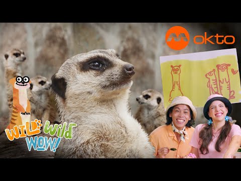 S1E10C-Miraculous MEERKATS Invisible PAINTING