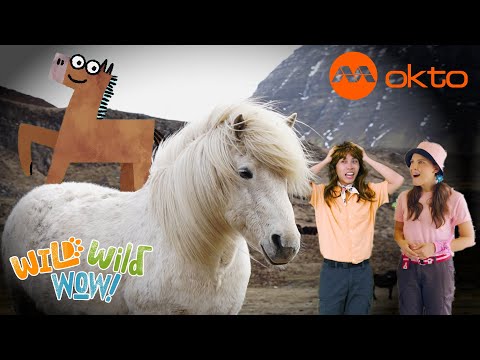 S1E12A-Wild ANIMAL Adventures HORSES Manes Are Fun