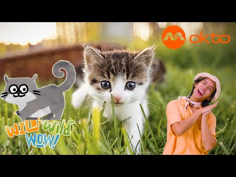 S1E13B-Wild ANIMAL Adventures with PETS
