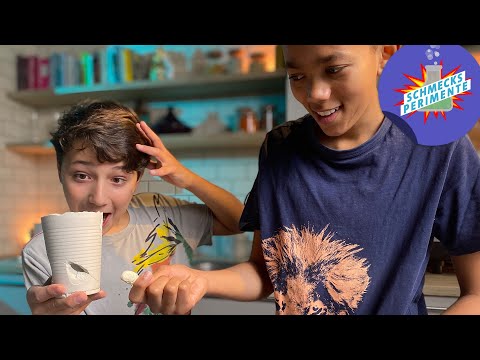 Können Bohnen Gips sprengen