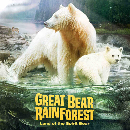Great Bear Rainforest