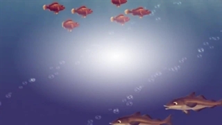 La tete dans les nuages