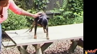 S03E16-I'll Ruff and I'll Ruff and I'll Blow Your House Down