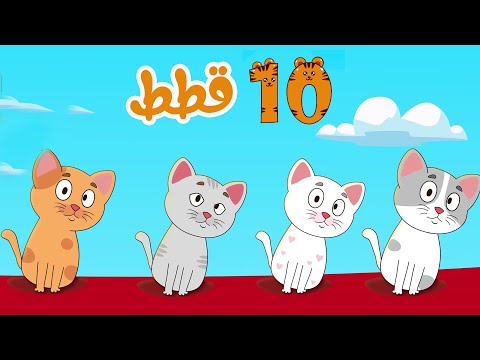 أغنية عشر قطط
