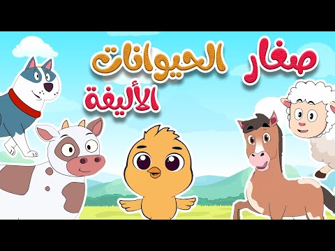 أغنية أين أبي - صغار الحيوانات الأليفة