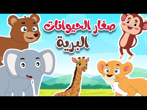 أغنية أين أبي - الحيوانات البرية