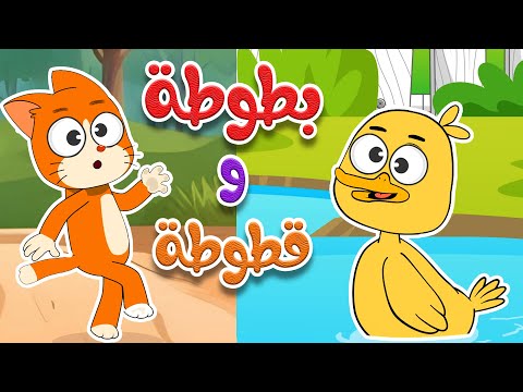 قطة قطوطة وبطة بطوطة