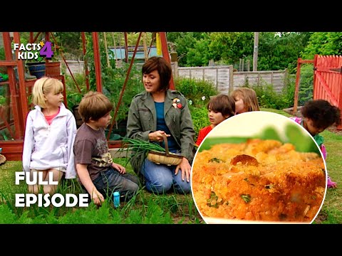 S01E02-Magic Mini Fishcakes