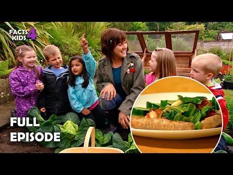 S01E08-Savoury Hot Pot