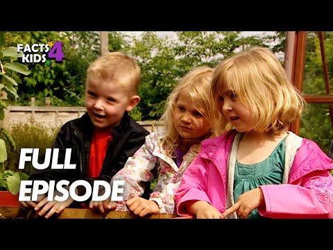 S01E17-Spiced Baked Wrap