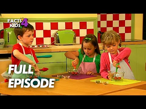 S01E19-Cheesy Chicken