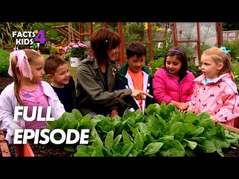 S01E21-Cheese and Vegetable Pasties