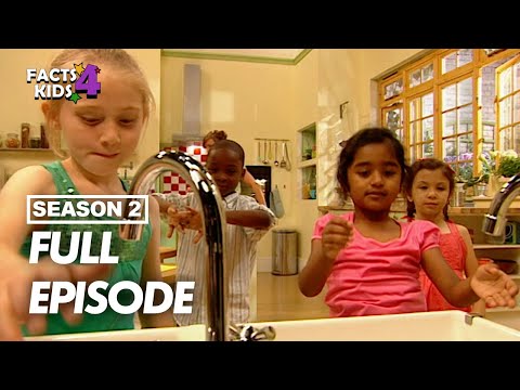 S02E03-Hide and Seek Cheesecake