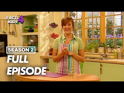 S02E13-Baked Bean Soup