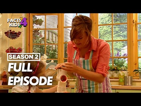 S02E16-Vegetable Spring Rolls