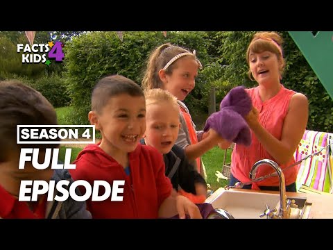 S04E02-Half Time Ices and Football