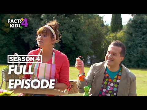 S04E26-A Special Surprise Funky Beet Muffin and Surprise Party