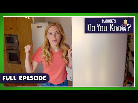 S02E25-Refrigerator and Mushrooms