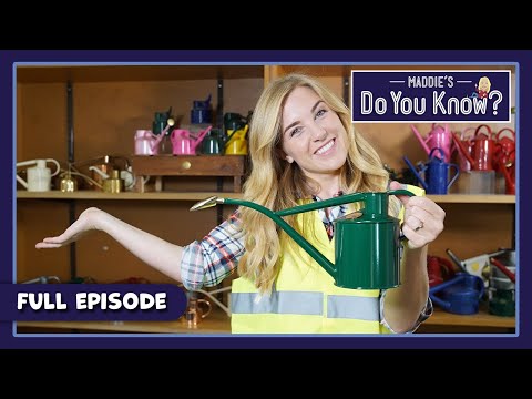 S03E22-Spider Web and Watering Can