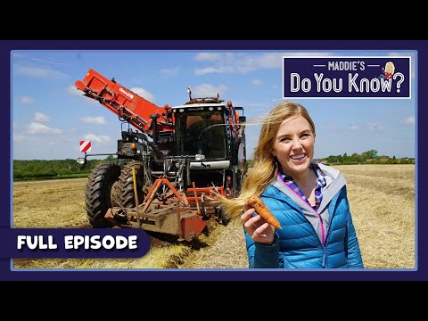 S04E05-Drinking Water and Carrots