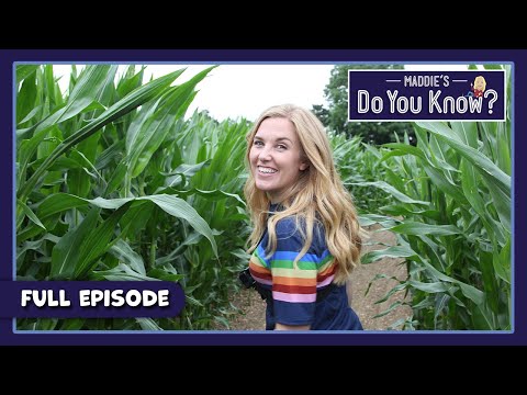 S04E06-Radio Telescope and Maze