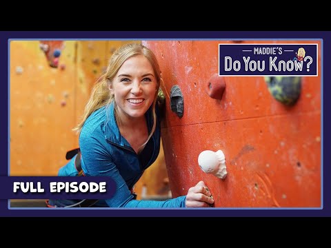 S04E15-Climbing Wall and Modelling Clay