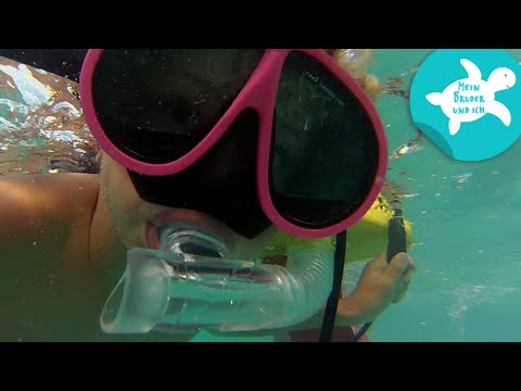 S01E02–Mit Schildkröten schwimmen