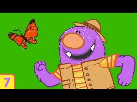Learn About The Life Cycle Of A Butterfly