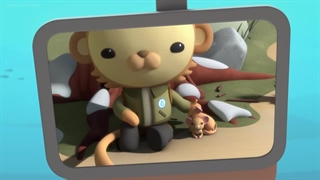 S01E10–The Octonauts and the Sleepwalking Dormice - The Octonauts and the Harlequin Duck