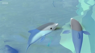 S04E18–The Lost Bottlenose Dolphins