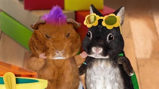 S01E02–Save the Mountain Lion – Save the Baby Chick