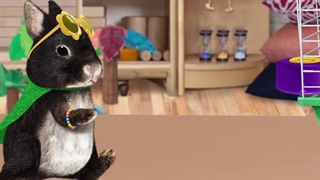 S01E03–Save the Woodpecker – Save the Salmon