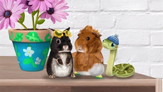 S01E10–Save the Screaming Goat – Help the Wild Culpeo